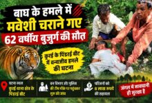 बाघ के हमले में मवेशी चराने गए 62 वर्षीय बुजुर्ग की मौत | Dainik Yashonnati सिवनी के कुरई पिंडरई क्षेत्र में बाघ के हमले की घटना के बाद वन विभाग की जांच
