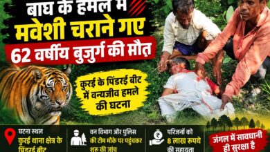 सिवनी के कुरई पिंडरई क्षेत्र में बाघ के हमले की घटना के बाद वन विभाग की जांच